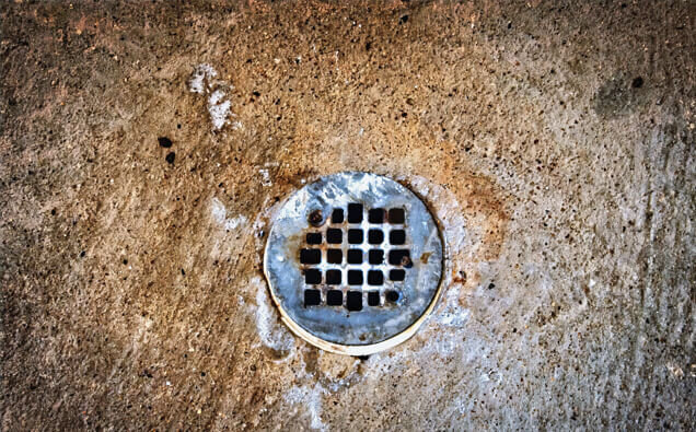 https://blockeddrainsbeckenham.com.au/uploads/2025/07/blocked-shower-drains-20432.jpg