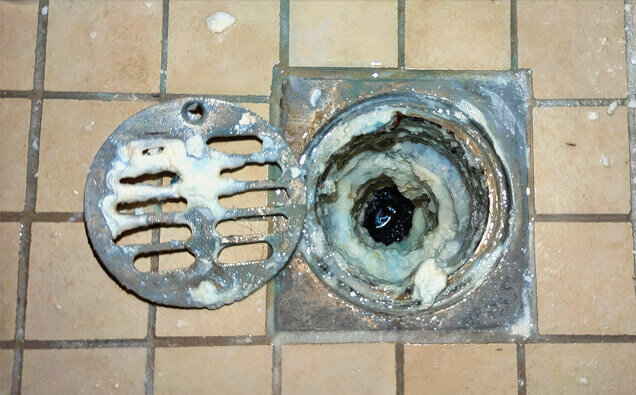 https://blockeddrainsbeckenham.com.au/uploads/2025/07/blocked-shower-drains-33151.jpg