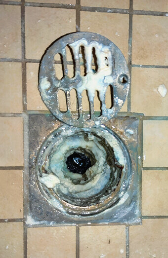 https://blockeddrainsbeckenham.com.au/uploads/2025/07/blocked-shower-drains-86331.jpg