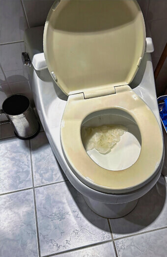 https://blockeddrainsbeckenham.com.au/uploads/2025/07/blocked-toilet-27293.jpg