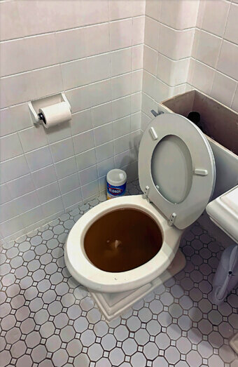 https://blockeddrainsbeckenham.com.au/uploads/2025/07/blocked-toilet-42230.jpg